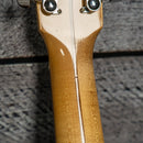 Gibson J-15