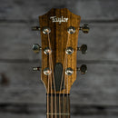 Taylor GTe Urban Ash