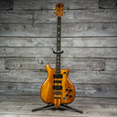 Alembic Series I LSB 1979