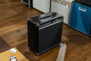 Amplified Nation Dirty Wonderland 50 Watt 1x 12" Combo