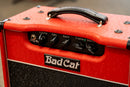 Bad Cat Alley Cat