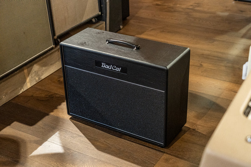 Bad Cat Hot Cat 2x 12"