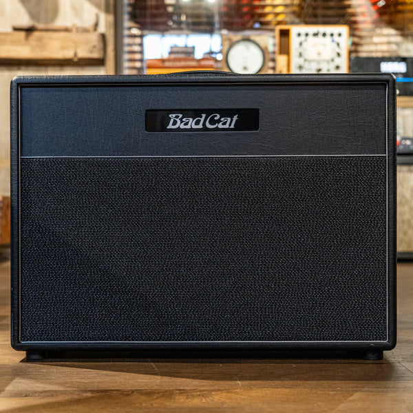 Bad Cat Hot Cat 2x 12"