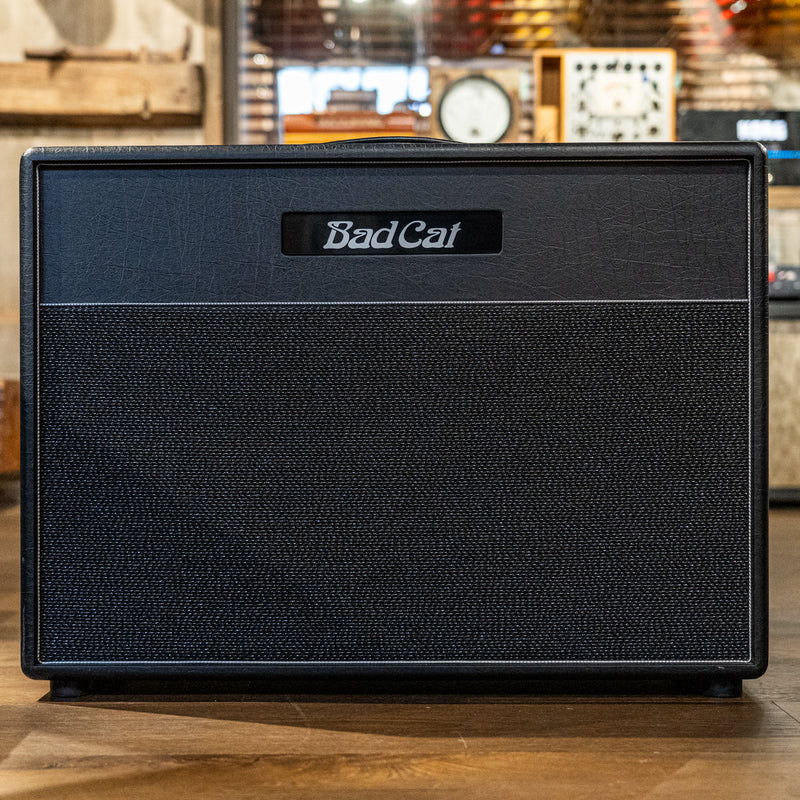 Bad Cat Hot Cat 2x 12"