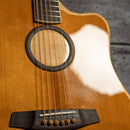 LR Baggs AEG-1