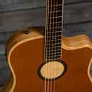 LR Baggs AEG-1