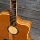 LR Baggs AEG-1