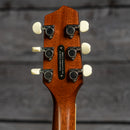 LR Baggs AEG-1