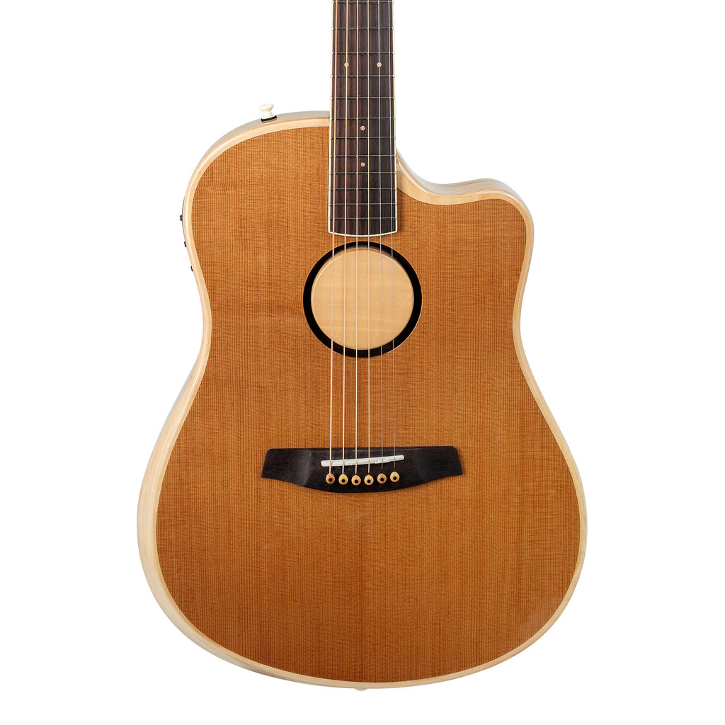 L.R. Baggs AEG1 Acoustic Electric Guitar Torrefied Sitka Spruce