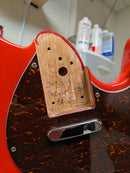 Balaguer Thicket Standard