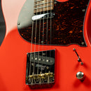 Balaguer Thicket Standard