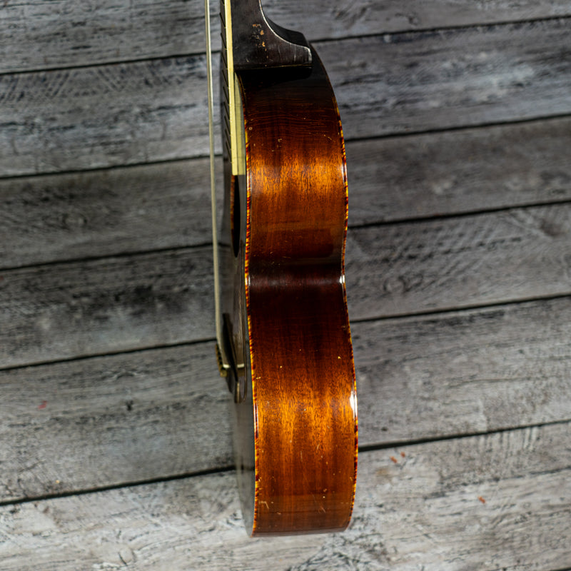 Biltmore Hawaiian Acoustic Steel Guitar