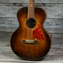 Biltmore Hawaiian Acoustic Steel Guitar