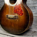 Biltmore Hawaiian Acoustic Steel Guitar
