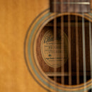 Blueridge BR-60CE