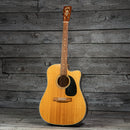 Blueridge BR-60CE