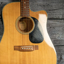 Blueridge BR-60CE