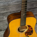 Boucher BG-42T-G Bluegrass Goose Series Torrefied Mahogany - Dreadnought