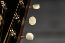 Bourgeois Blues Professional L-DBO - Satin