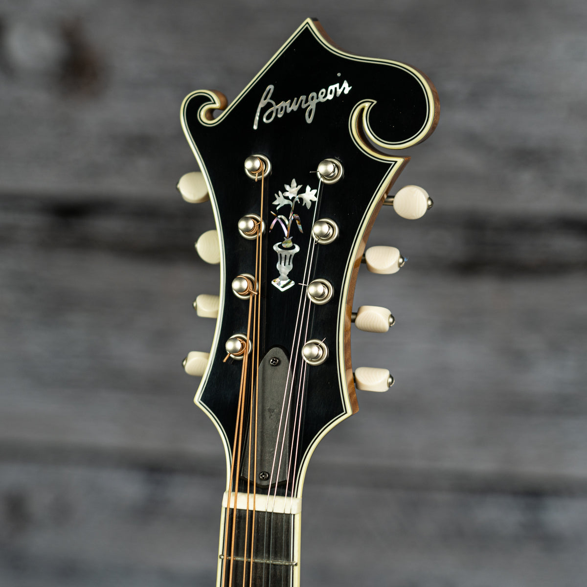 Bourgeois M5-F Mandolin