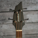 Breedlove Discovery S Concert ED Bass CE