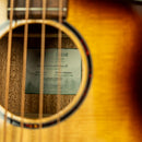 Breedlove Discovery S Concert ED Bass CE
