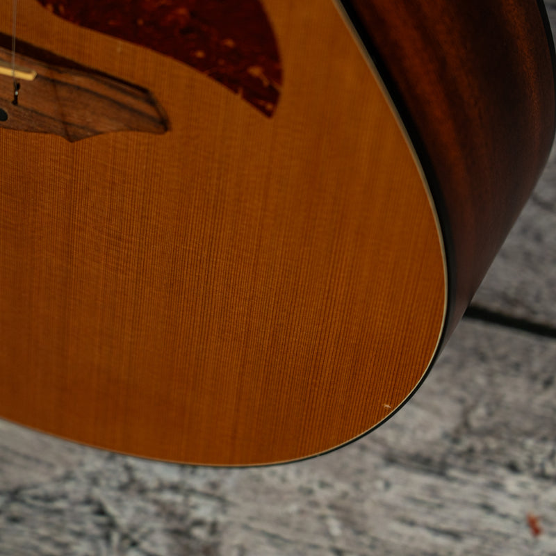 Breedlove Passport C25CE