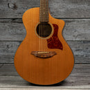 Breedlove Passport C25CE