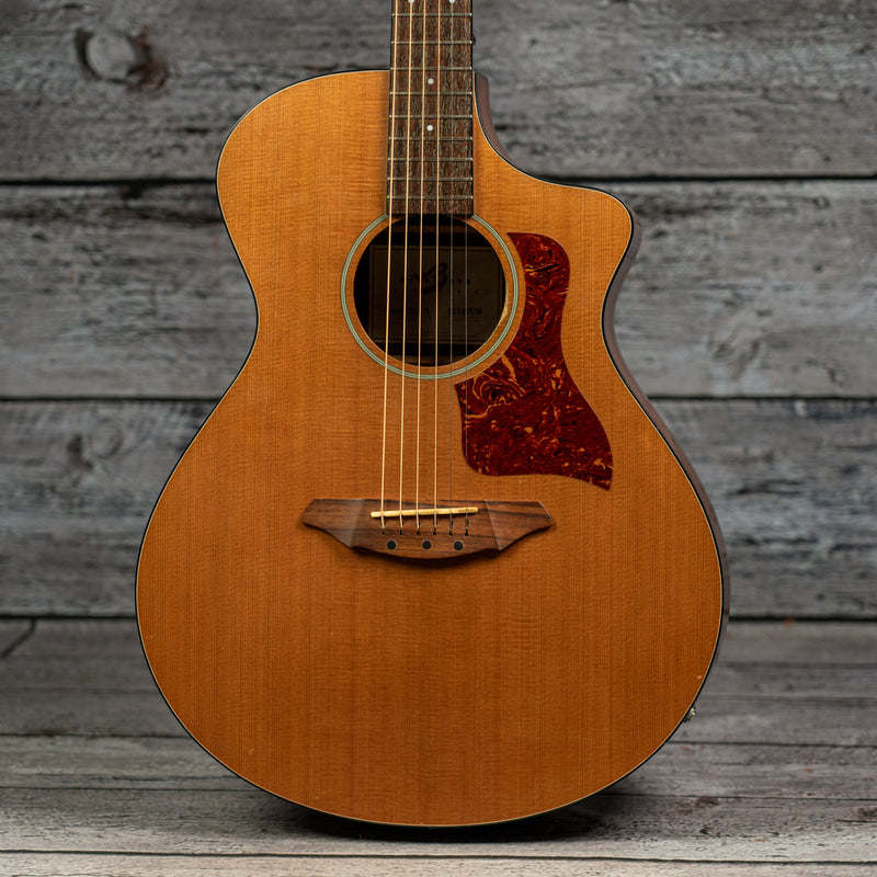 Breedlove Passport C25CE