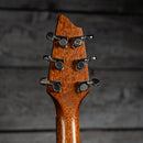Breedlove Passport C25CE
