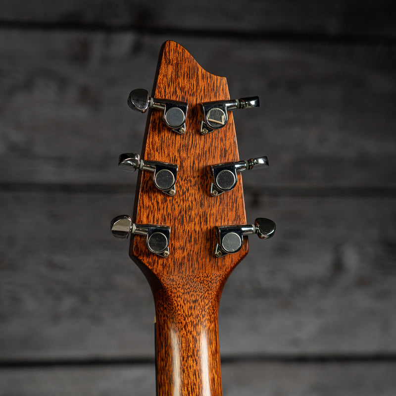 Breedlove Passport C25CE
