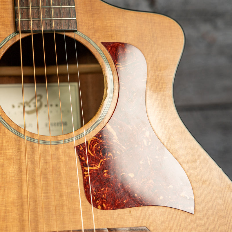 Breedlove Passport C25CE