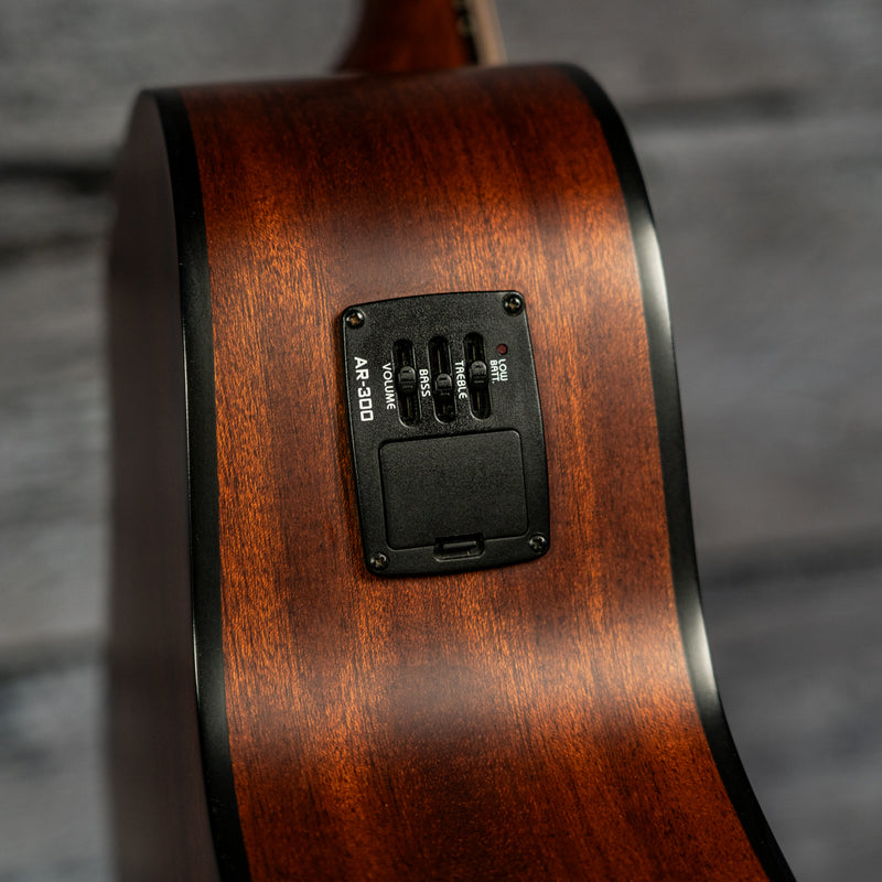 Breedlove Passport C25CE