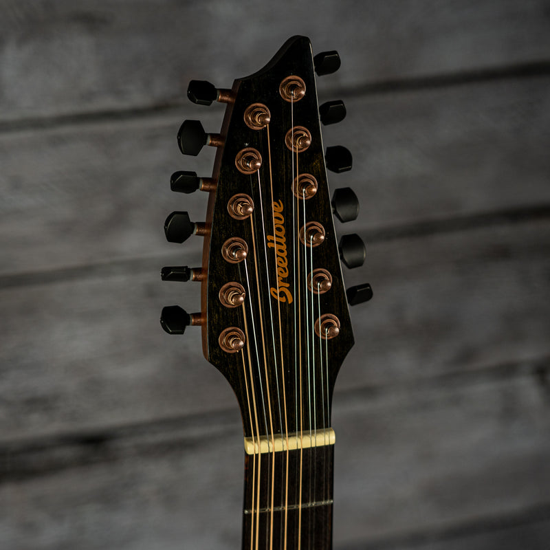 Breedlove Pursuit EX S Concert A 12-String CE