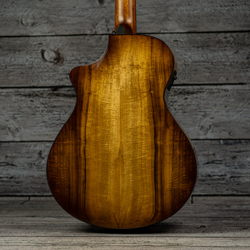 Breedlove Pursuit EX S Concert A 12-String CE
