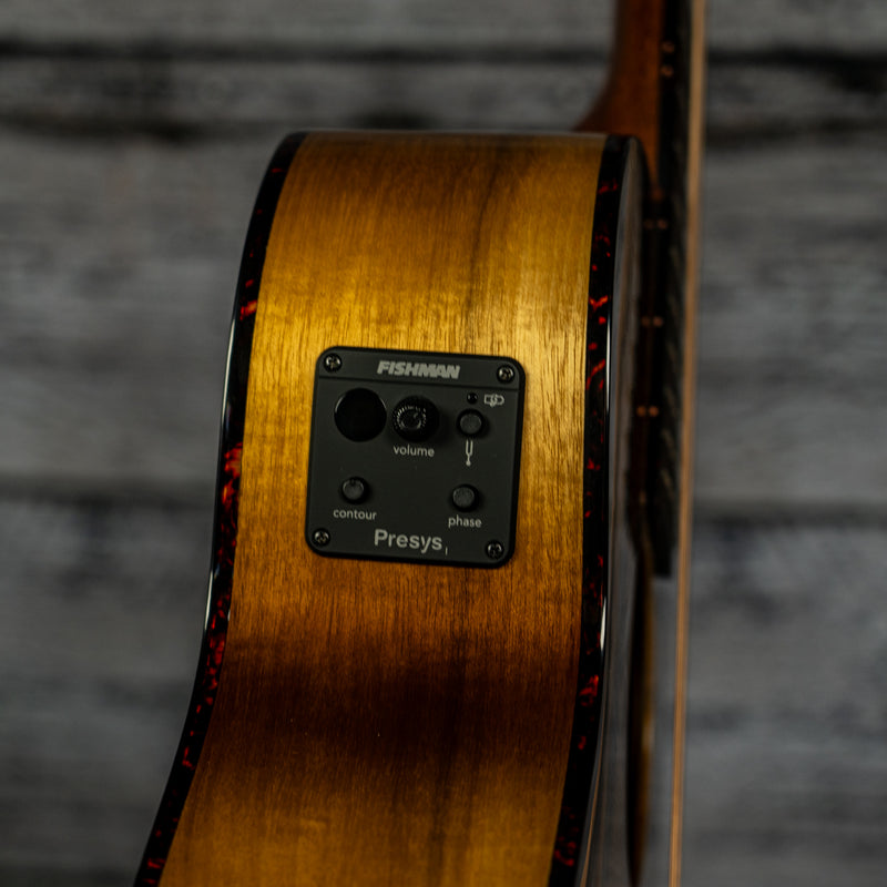 Breedlove Pursuit EX S Concert A 12-String CE