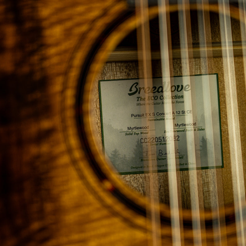 Breedlove Pursuit EX S Concert A 12-String CE