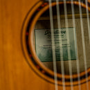 Breedlove Pursuit EX S Concert Nylon CE