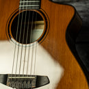 Breedlove Pursuit EX S Concert Nylon CE