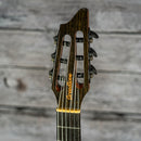 Breedlove Pursuit EX S Concert Nylon CE