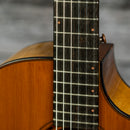 Breedlove Pursuit EX S Concert Nylon CE