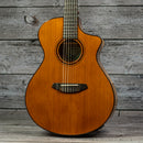 Breedlove Pursuit EX S Concert Nylon CE
