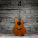 Breedlove Pursuit EX S Concert Nylon CE