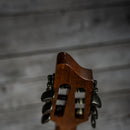 Breedlove Pursuit EX S Concert Nylon CE