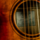Breedlove Pursuit EX S Concert