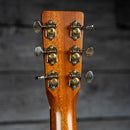 Breedlove Revival DM