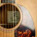 Breedlove Revival DM