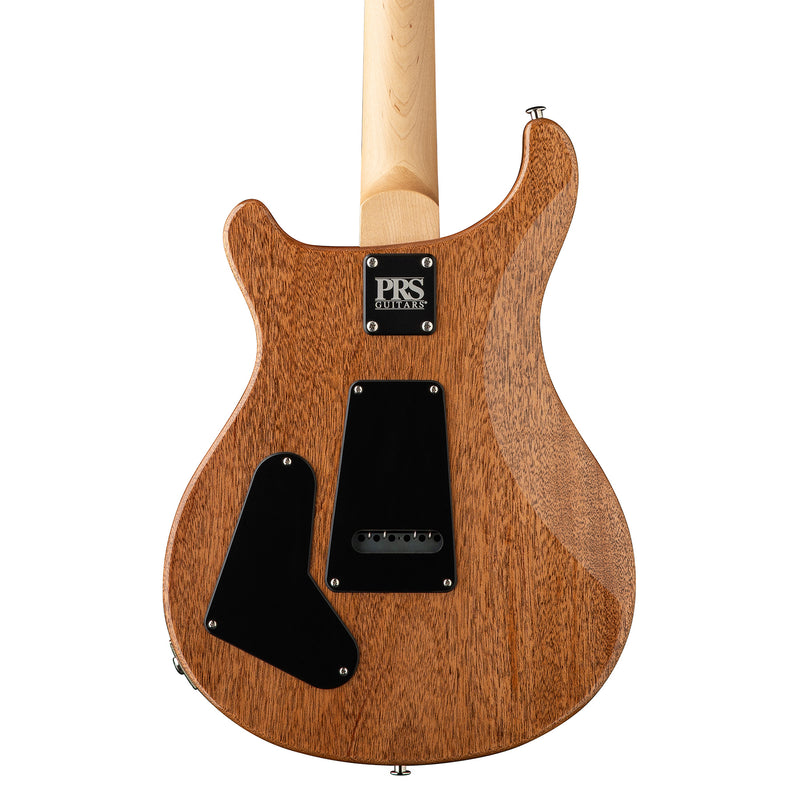 PRS CE 22 Limited Edition - Carroll Blue