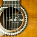 Cordoba C12