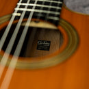 Cordoba Fusion Orchestra CE